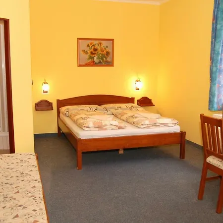 Guest house Apartmany Florian Frymburk